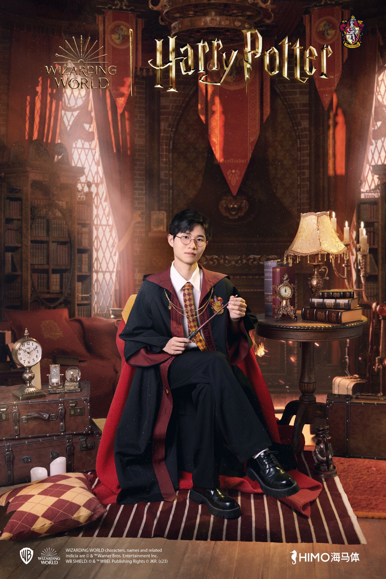 Harry Potter 